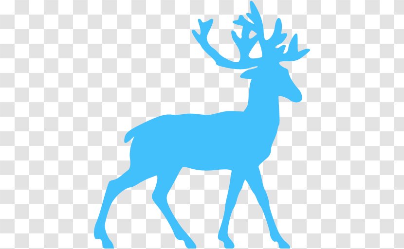 White-tailed Deer Reindeer Antler Clip Art Transparent PNG