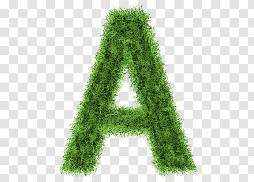 Letter Stock Photography Alphabet - Conifer - Indesign Transparent PNG