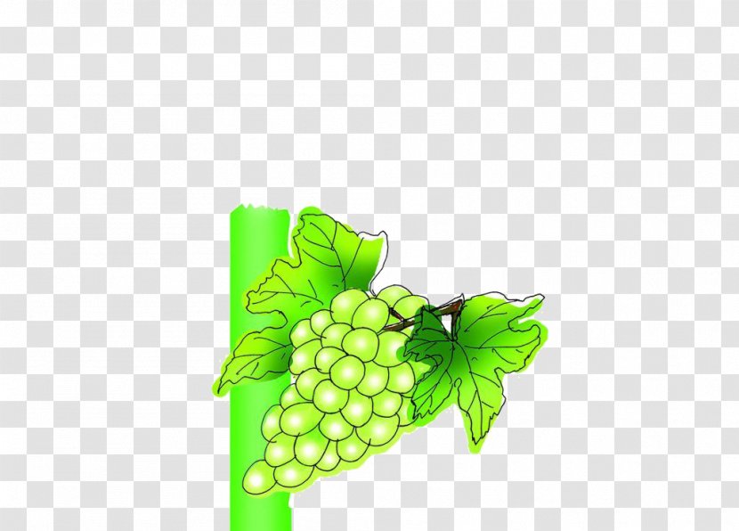 Wine Grape Juice Packaging And Labeling - Food Transparent PNG