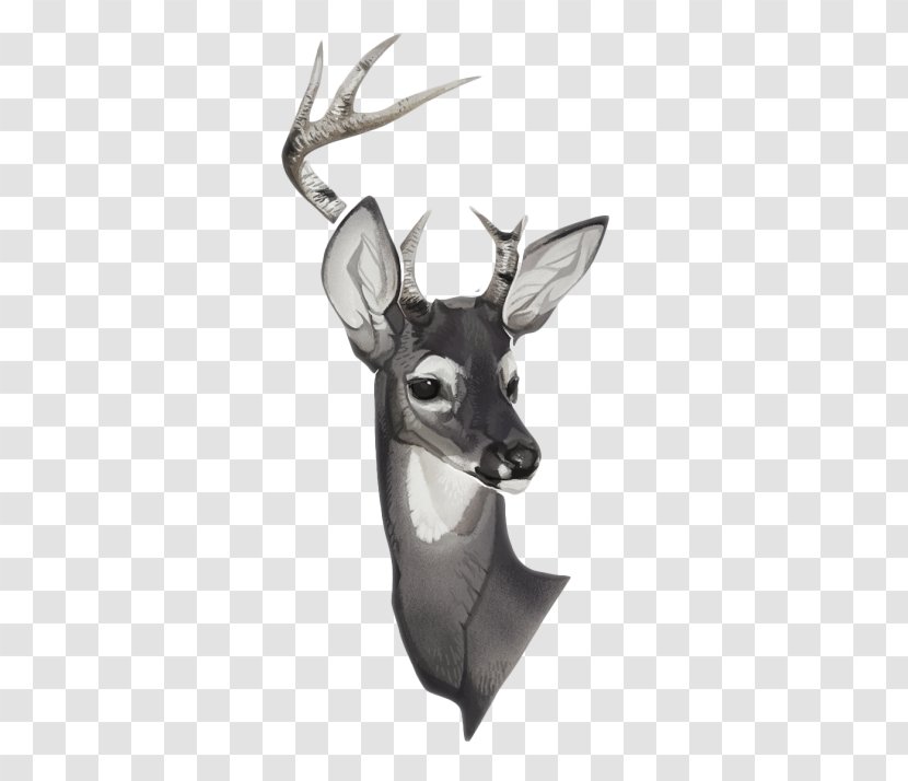 Reindeer Sketch - Art - Watercolor Animals Transparent PNG