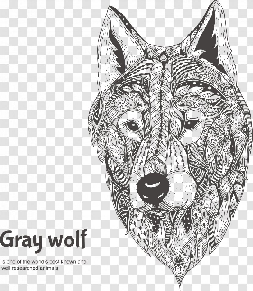 Gray Wolf Drawing Illustration - Head - Hand-painted Pattern Positive Face Transparent PNG