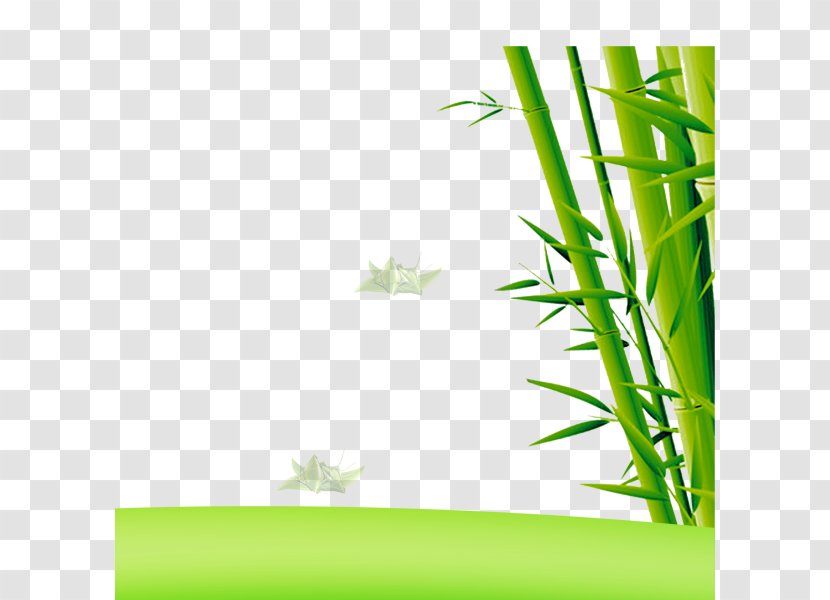 Bamboo Euclidean Vector - Element Transparent PNG