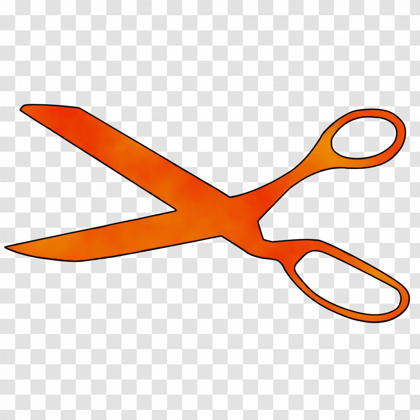 Orange Transparent PNG