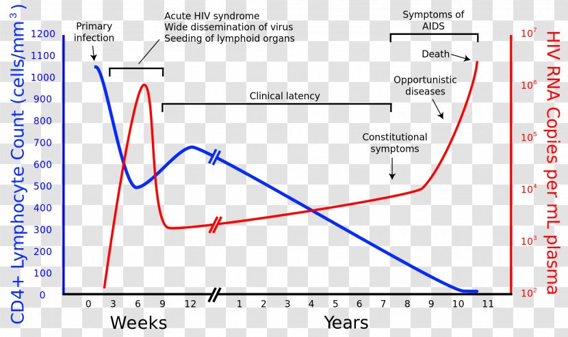 Epidemiology Of HIV/AIDS CD4 Viral Load - Infection - Blue Transparent PNG