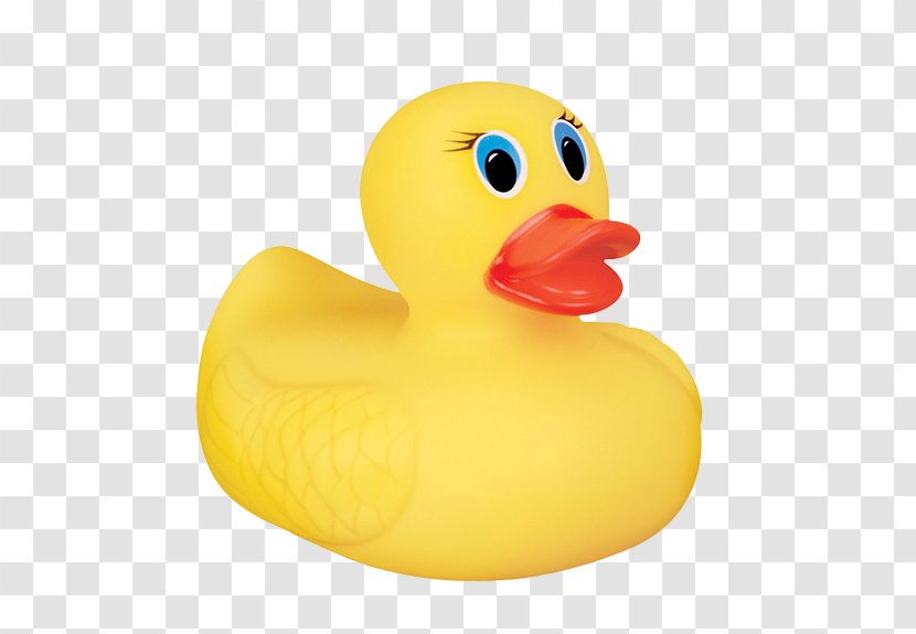 Rubber Duck Baths Bathroom Yellow Transparent PNG