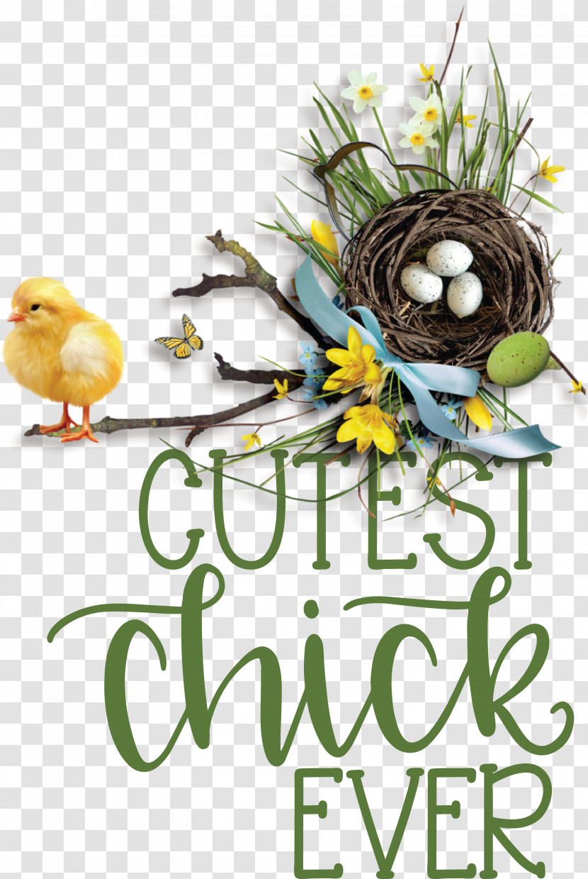 Birds Bird Nest Font Flower Tree Transparent PNG