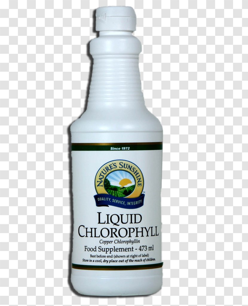 Aloe Vera Dietary Supplement Nature's Sunshine Products Juice Acid Gras Omega-3 - Liquid Cream Transparent PNG