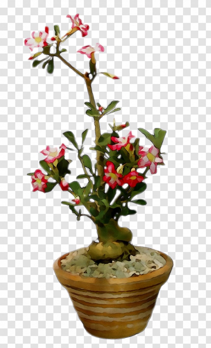 Flowerpot Houseplant Plant Stem Shrub Flowering - Plants - Artificial Flower Transparent PNG
