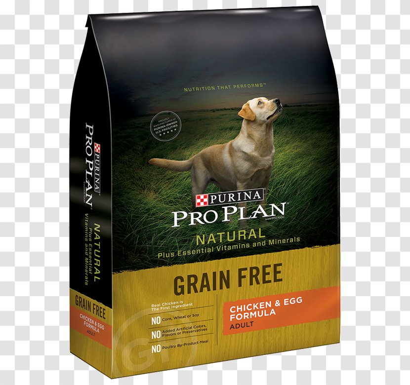 Dog Food Cat Nestlé Purina PetCare Company Pet - Dry Chicken Transparent PNG