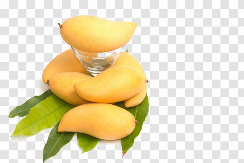 Mango Stock Photography Fruit Vegetable - Diet Food Transparent PNG