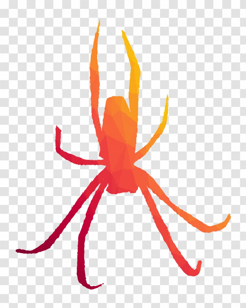 Clip Art Insect Line Pest Orange S.A. - Membrane - Animal Figure Transparent PNG
