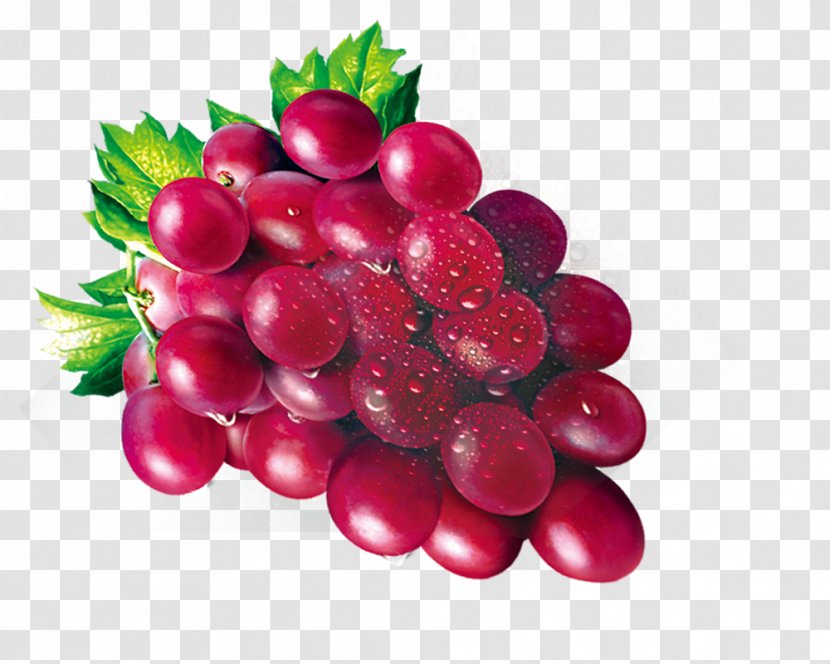 Grape Zante Currant Fruit Auglis - Berry Transparent PNG