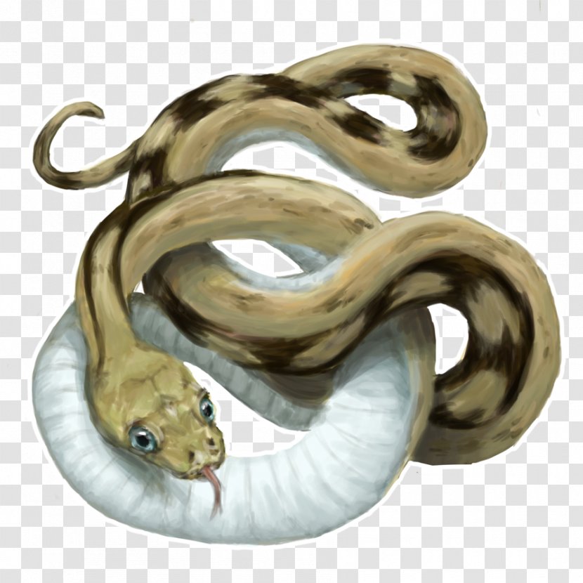 Boa Constrictor Colubrid Snakes Rat Snake Grumpy Cat - Heart Transparent PNG