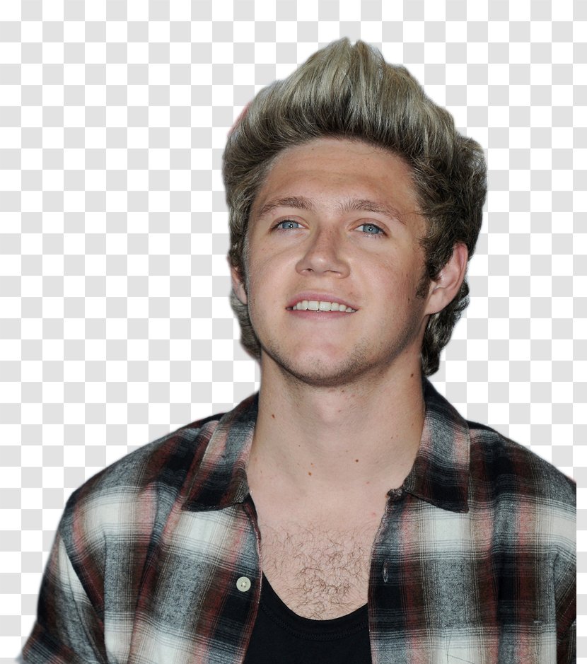 Niall Horan Valentine's Day One Direction: Forever Young Love - Facial Hair Transparent PNG