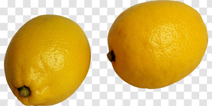 Meyer Lemon Rutaceae - Fruit - Ay Transparent PNG