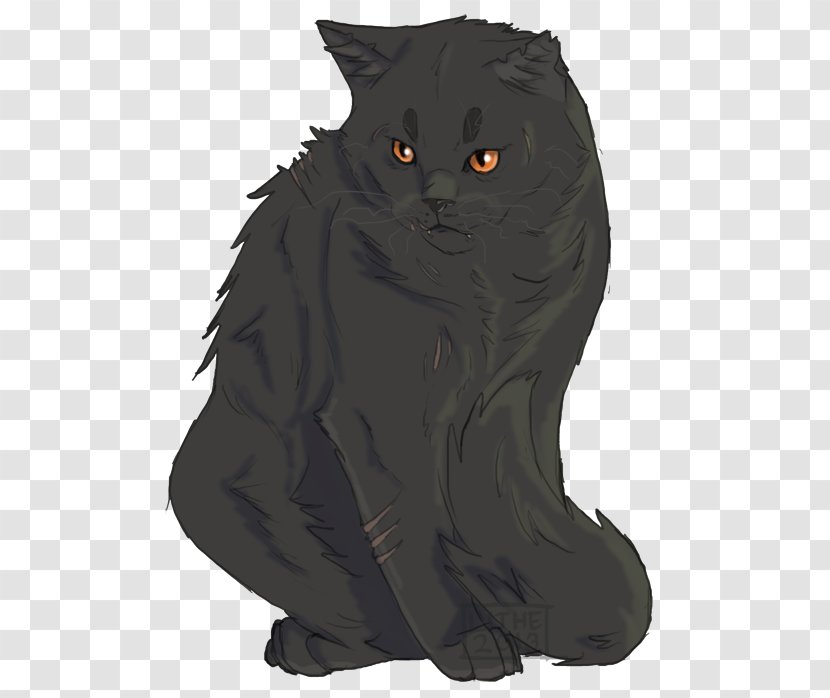 Yellowfang's Secret Warriors Erin Hunter Cinderpelt - Snout - Cloudtail Transparent PNG