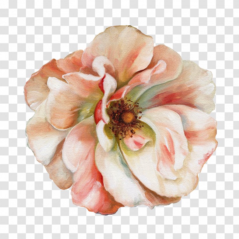 Flower Painting Floral Design Art Still Life - Peony - Audit Transparent PNG