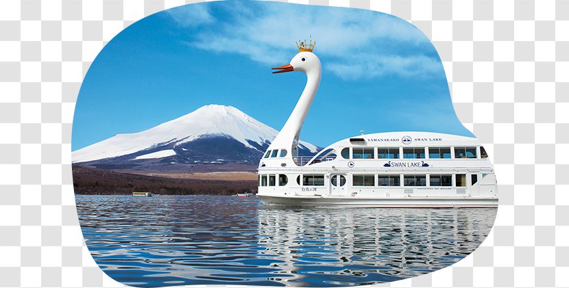 Lake Yamanaka Mount Fuji Fuji-Q Highland Hotel Accommodation - Yacht - Sightseeing Boat Transparent PNG
