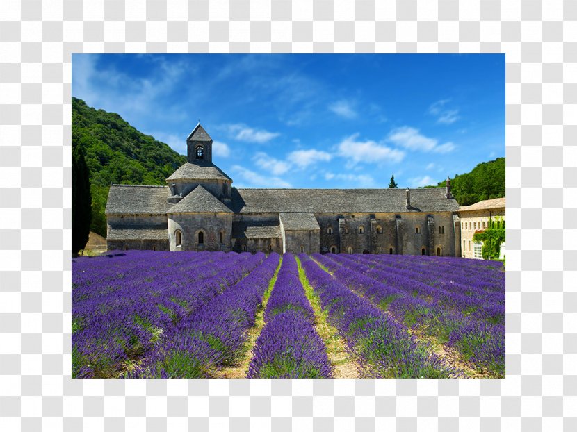 Sénanque Abbey Travel Tourist Attraction TripAdvisor - Landmark Transparent PNG