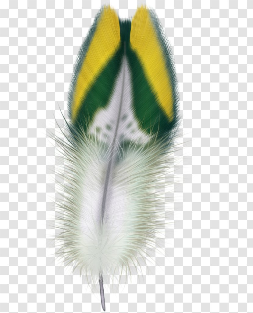 Feather Bird Clip Art - Computer Transparent PNG
