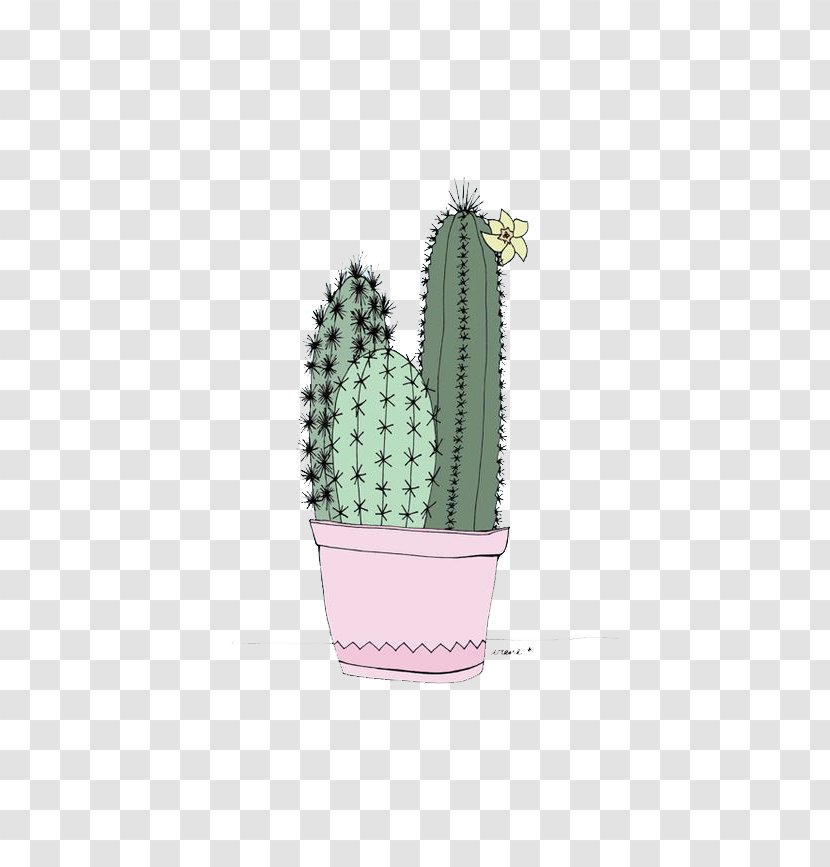 Cactaceae Lock Screen Home Wallpaper - Iphone - Cactus Transparent PNG