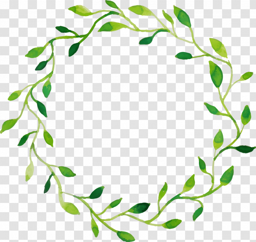 Twig Plant Stem Leaf Green Meter Transparent PNG