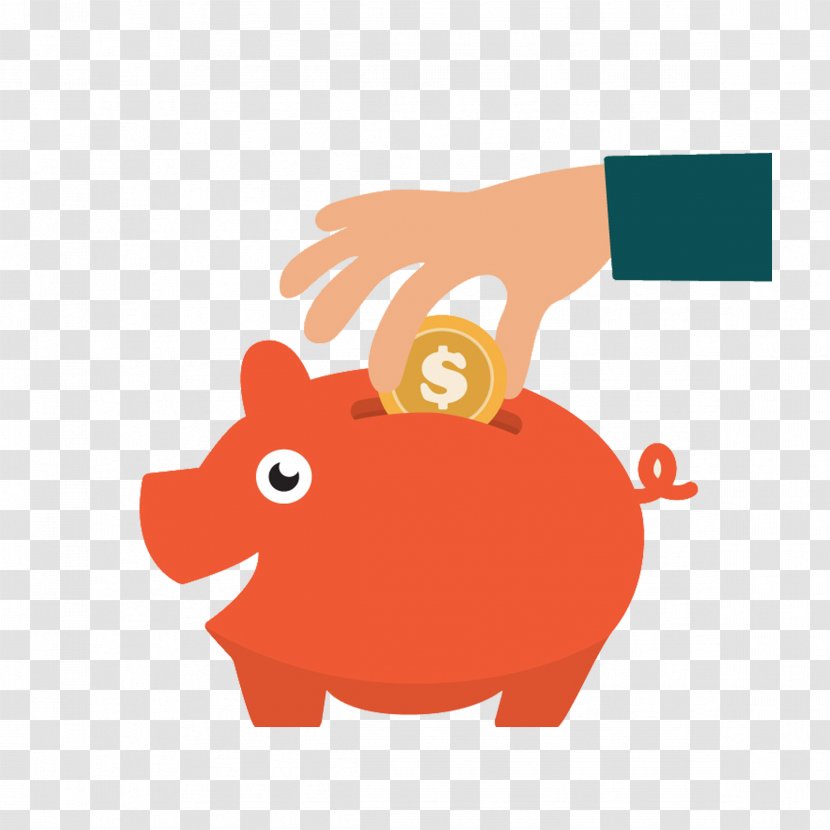 Domestic Pig Piggy Bank Cartoon - Livestock Transparent PNG