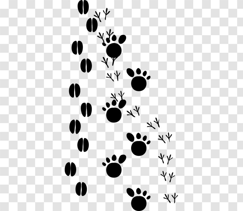 Dog Animal Track Footprint Paw Clip Art - Flower Transparent PNG