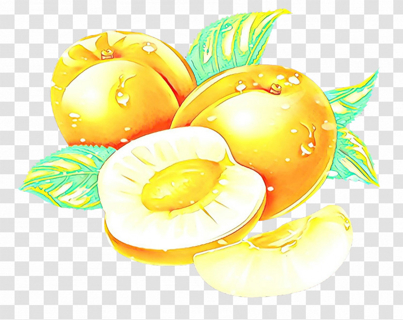 Egg Transparent PNG