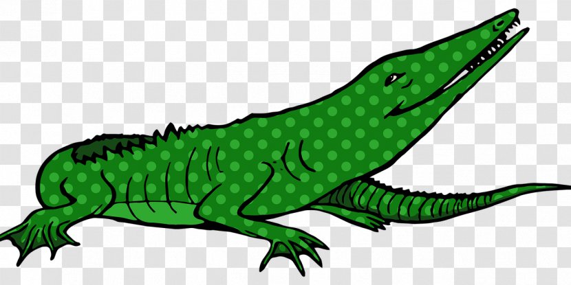 Common Iguanas Crocodiles Alligator Clip Art - Fauna - Crocodile Transparent PNG