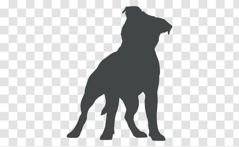 Staffordshire Bull Terrier American Pit - Collar - Puppy Transparent PNG