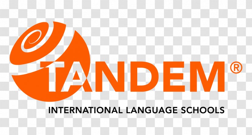 Brand Logo Font - Asn International School Transparent PNG