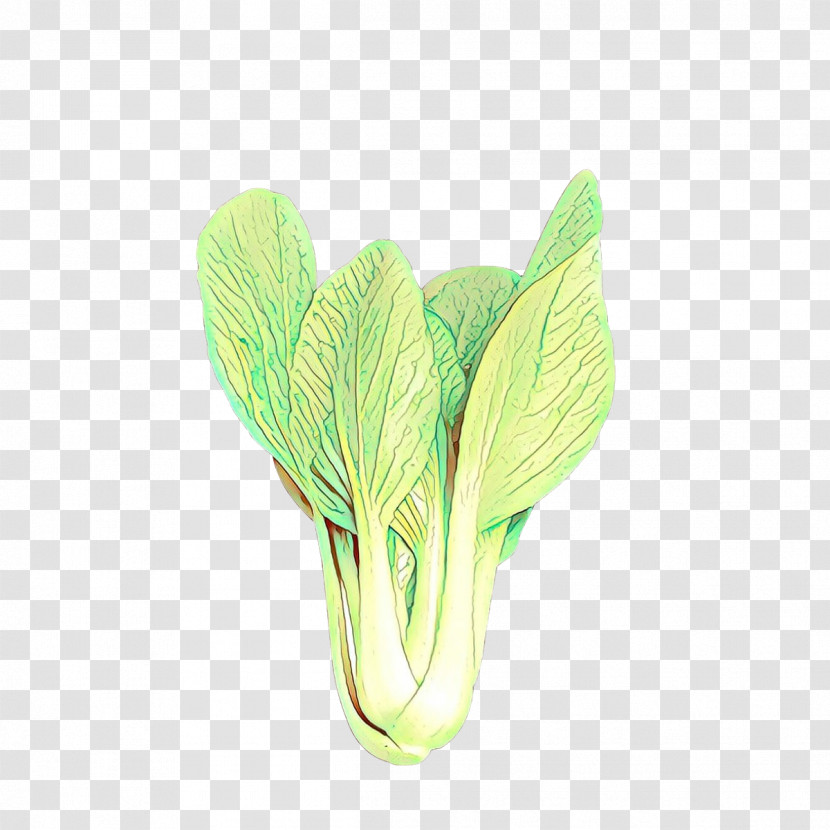 Green Leaf Plant Vegetable Flower Transparent PNG