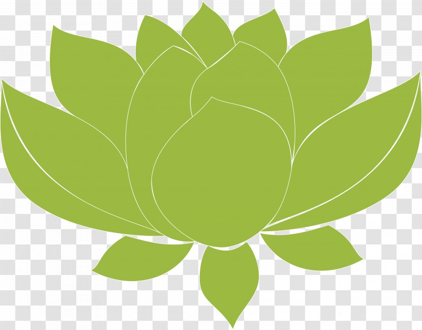 Leaf Green Desktop Wallpaper Plant Stem Computer Transparent PNG