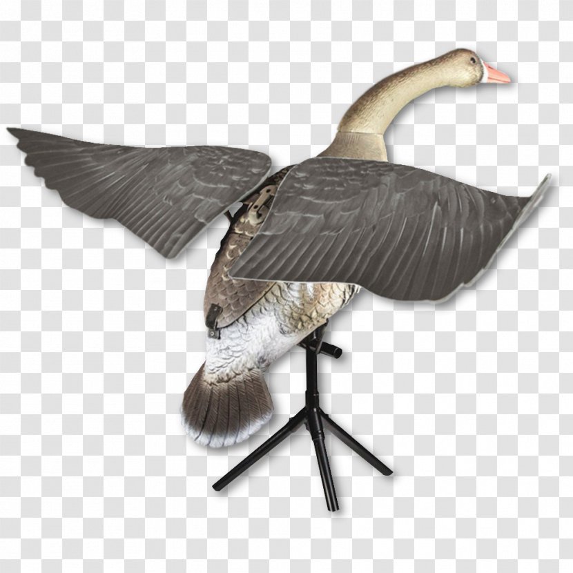 Swan Goose Duck Mallard Decoy - Fauna Transparent PNG