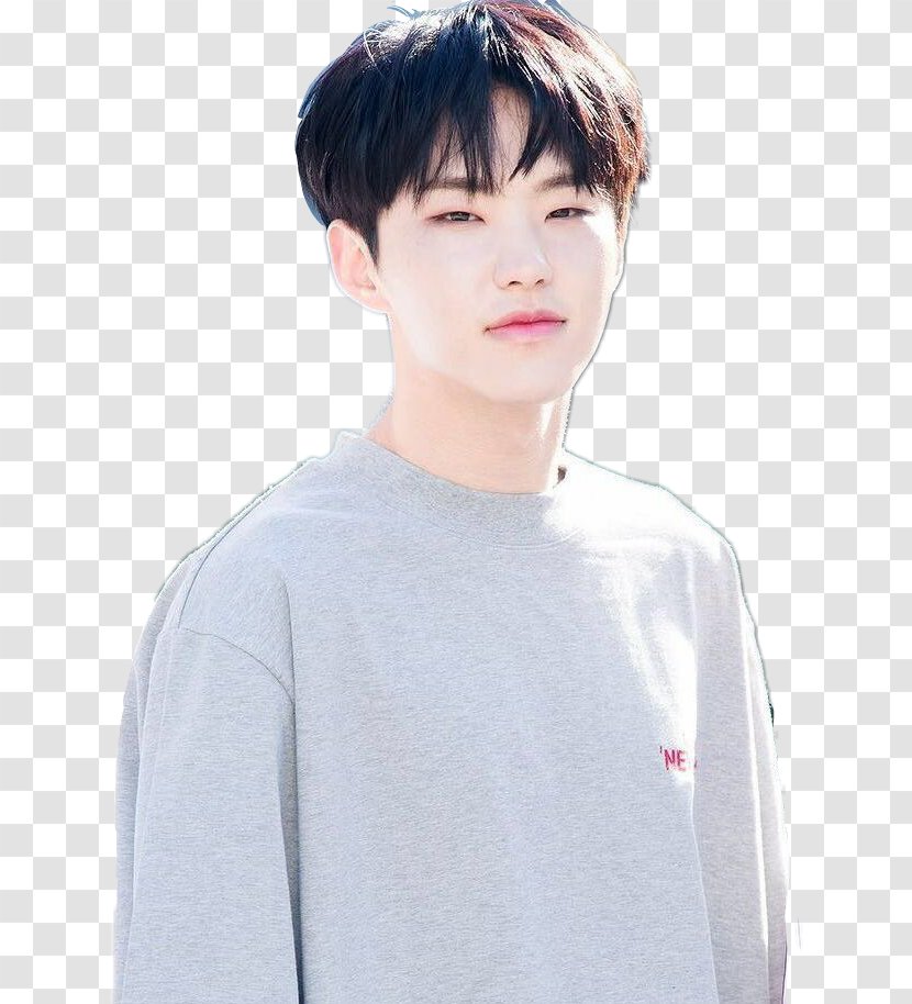 Hoshi SEVENTEEN Korea K-pop Don't Wanna Cry - Cool - Seventeen Transparent PNG