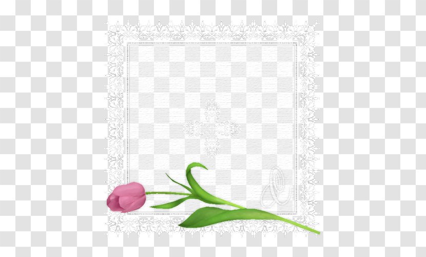 Picture Frames Rectangle Font Flowering Plant Floral Design - White - Ornamental Transparent PNG