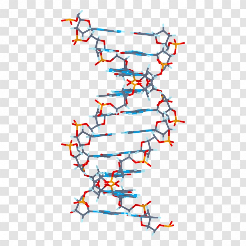 3D Computer Graphics DNA Clip Art - Rendering Transparent PNG