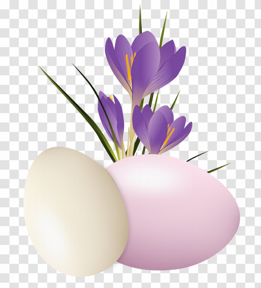 Crocus Vernus Flower Autumn Clip Art - Tulip - Easter Transparent PNG