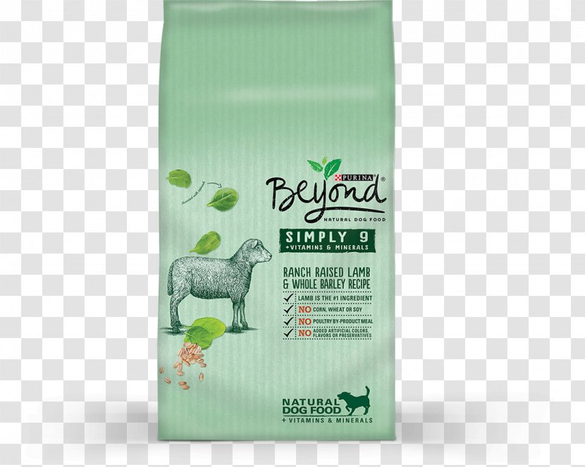 Dog Food Cat Nestlé Purina PetCare Company One - Green - Orzo Soup Transparent PNG