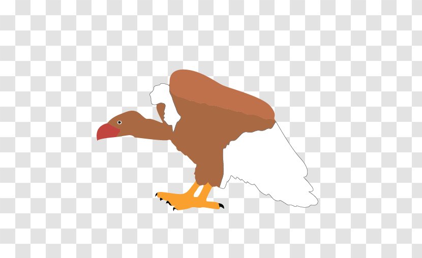 Chicken Drawing Cartoon Clip Art - Vulture Transparent PNG