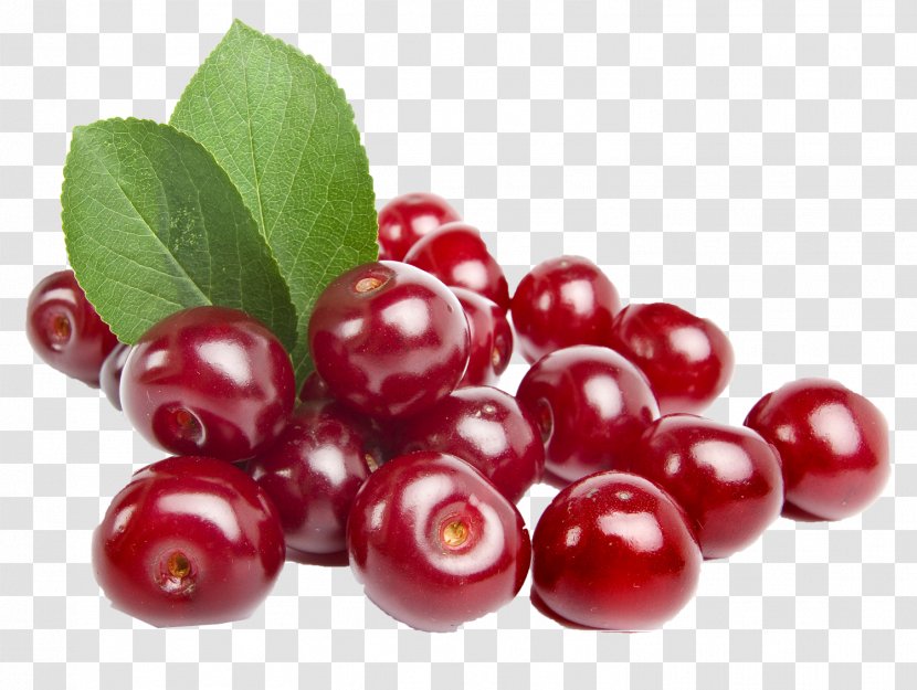 Sour Cherry Cherries Diabetes Mellitus Fruit Food - Frutti Di Bosco - Coke Transparent PNG