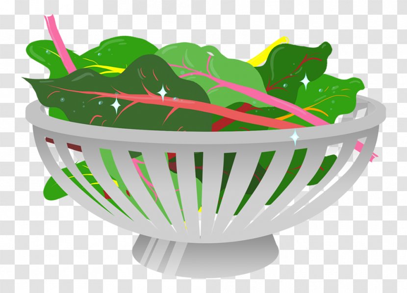 Bean Salad Lettuce Leaf Vegetable Transparent PNG