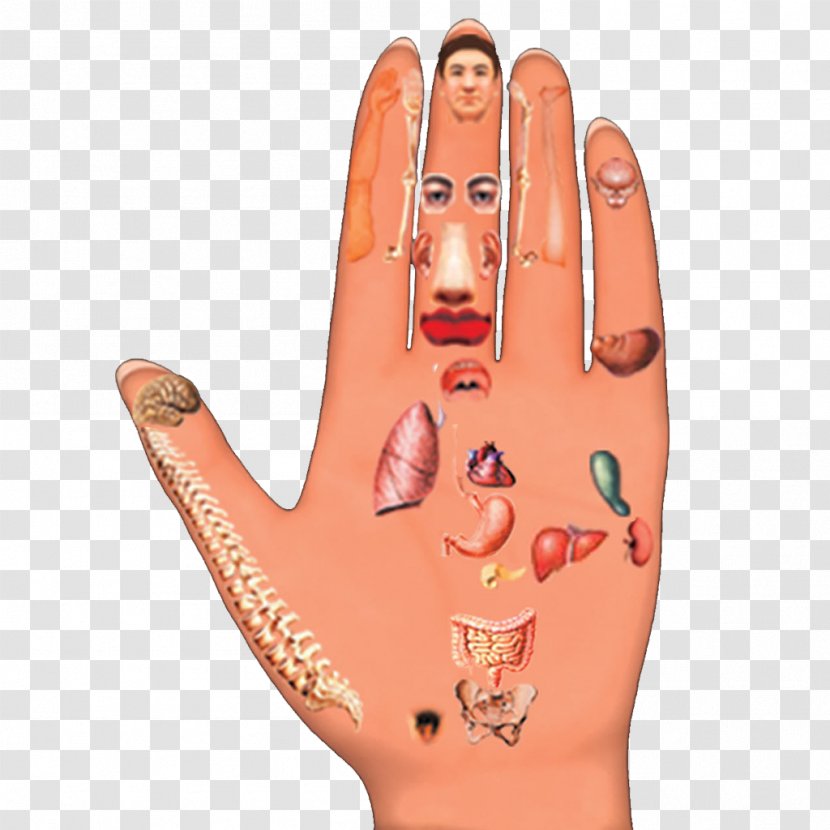 Thumb Hand Model Nail Tattoo - Heart Transparent PNG
