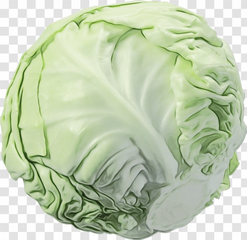 Cabbage Green Wild Iceburg Lettuce Cruciferous Vegetables - Food Leaf Vegetable Transparent PNG