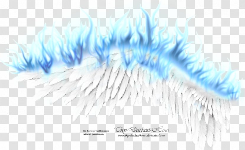 Wing Flame - Blue - Fire Transparent PNG
