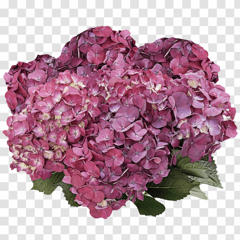 Flower Bouquet Transparent PNG