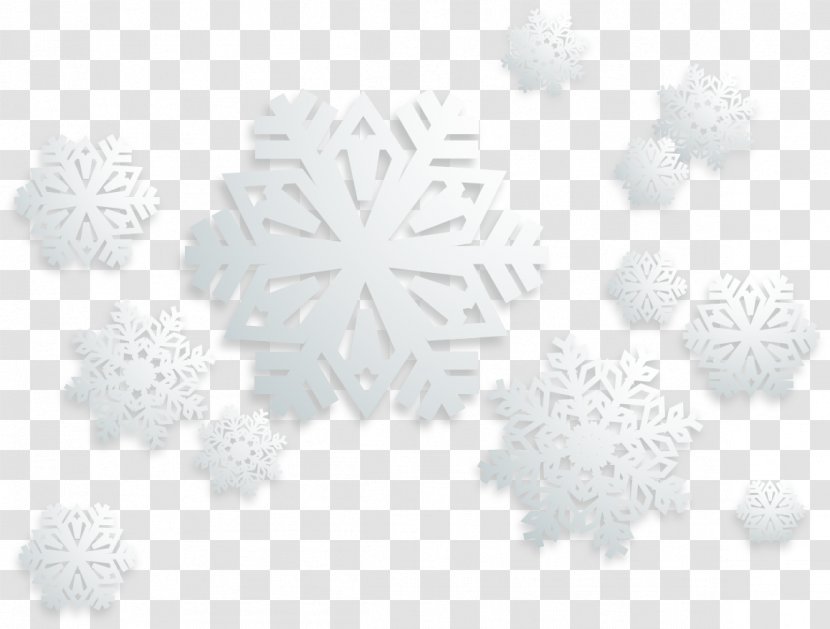 Black And White Snowflake Pattern - Wallpaper - Sky Snow Winter Vector Material Transparent PNG