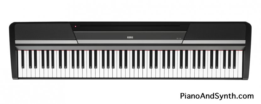 Digital Piano Keyboard Musical Instruments Korg - Flower - Keys Transparent PNG
