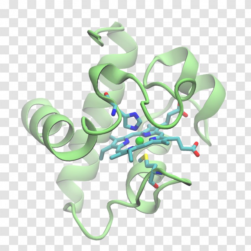 Chlamydomonas Reinhardtii Cytochrome C Cytochrom C6 B - Frame - Plastocyanin Transparent PNG